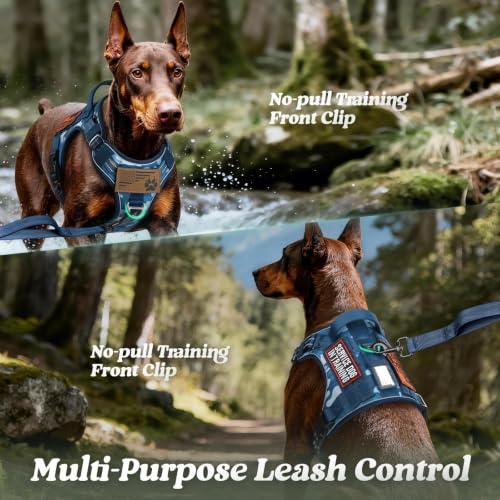 rabbitgoo Tactical Dog Harness for Small Dogs, No Pull Service Pet Vest - color: Blue Camo, size: S(Chest:16.1"-31.5",Neck:15.4"-21.6",Back:7.1")