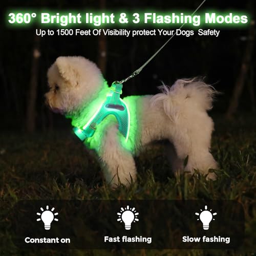 Light Up Dog Harness, Rechargeable LED Dog Harness for Small Medium Dogs - color: Light Green, size: L