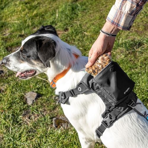 Kurgo Stash n' Dash Dog Harness, Black, Large - size: Large