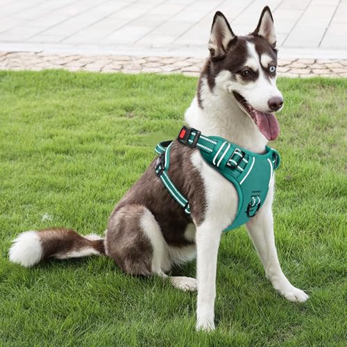 HEELE Dog Harness, Soft Padded, Front Clip Vest with Control Handle Grass S - color: Lock Grass Green, size: S (Pack of 1)