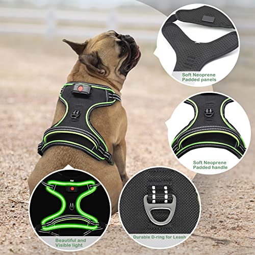 Light Up Dog Harness, Rechargeable LED Dog Vest for Night Walking - color: Black-Green, size: XS