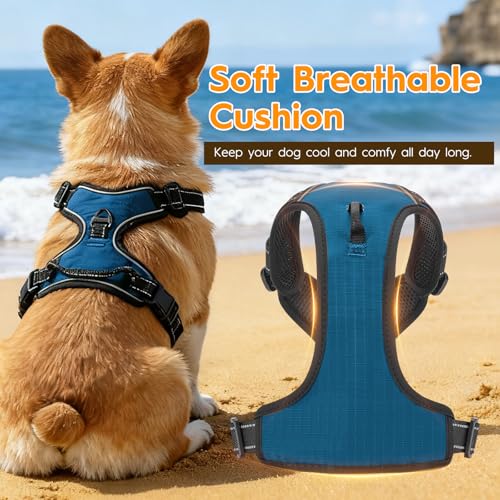 No Pull Dog Harness, No-Choke Soft Padded Reflective Dog Vest Harness with Front Clip & Top Handle, 2 Quick-Release Buckles, Adjustable for Small Medium Large Dogs - color: Blue, size: X-Small