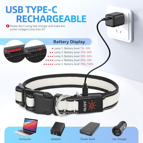 Flashseen Multicolor LED Light Up Dog Collar, RGB 9-Mode, USB Rechargable - color: White, size: Small