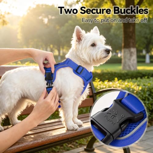 PoyPet Mesh Dog Harness, Reflective Breathable Puppy Vest for Small Dogs - color: Royal Blue, size: XS