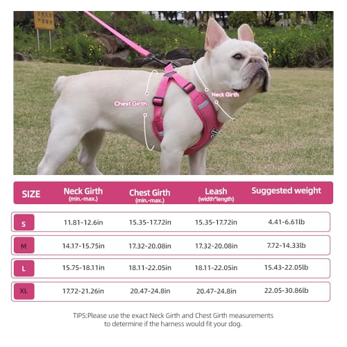 Dog Harness and Leash Set, Adjustable Triangle, Reflective Adjustable Puppy Vest, No Pull Soft Mesh Harness for Small, Medium Dogs, Cats (Fuchsia, M) - color: Fuchsia, size: M