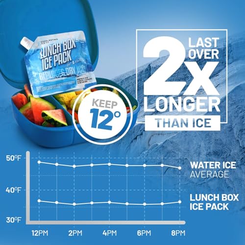 Everlasting Ice RX Reusable Ice Packs for Cooler (4 Pack) Up to 48 Hours Freezer Packs for Coolers and Lunch Boxes Cooler Ice Packs for Lunch Box, Camping, Fishing, Beach, Road Trips - size: Medium 7.5" x 6.5" (4 Pack)
