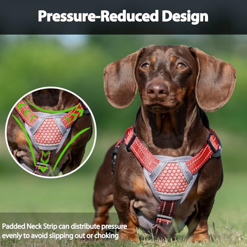 Huntboo Escape Proof Dog Harness, Dachshund Harness, Reflective Dog Harness with Handle, Durable,Adjustable Vest for Small Medium Large Dogs Walking, Training, and Running Gear (Red,M) - color: Red, size: Medium(Pack of 1)