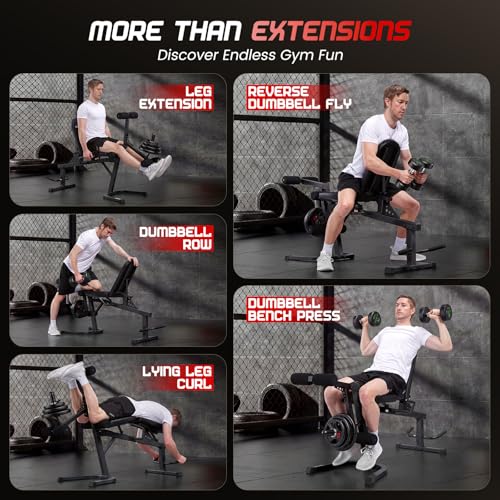 ANCHEER Leg Extension and Curl Machine, Adjustable Leg Workout Machine for Lower Body Training, 880LB Capacity Plate Loaded Leg Developer for Quads, Hamstrings & Glutes, Home Gym Equipment - color: Black