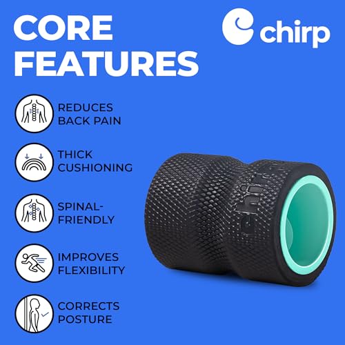 Chirp Wheel+ Foam Roller, Back & Neck Pain Relief, Mint 4-Inch - size: 4" - Focus