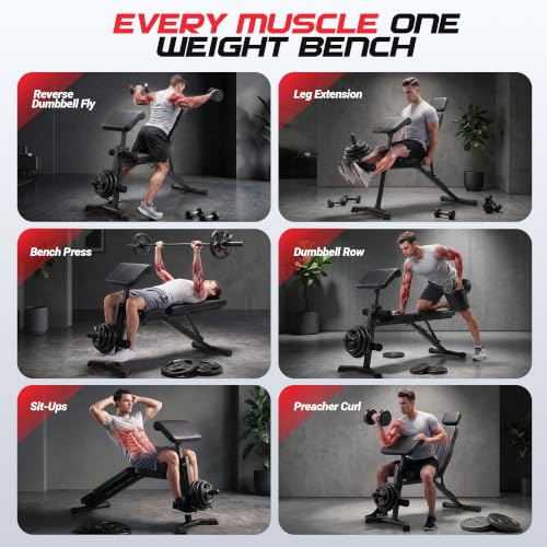 ANCHEER Adjustable Weight Bench with Leg Extension and Leg Curl
