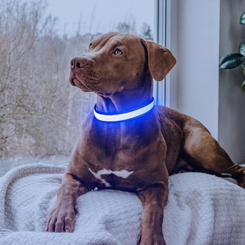 Flashseen LED Dog Collar, Light Up Dog Collar USB Rechargeable, Blue, M - color: Blue, size: Medium