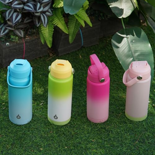 BJPKPK 24oz Insulated Water Bottle, Stainless Steel Bottle with Straw Lid - color: Cherry, size: 24 Ounces