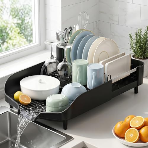 PULIDIKI Dish Drying Rack, Expandable Dish Rack for Kitchen Counter