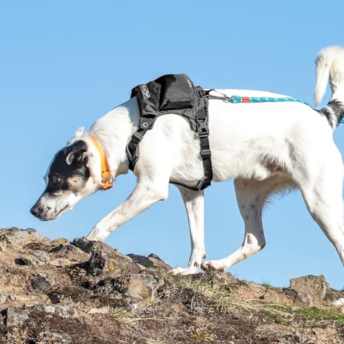 Kurgo Stash n' Dash Dog Harness, Black, Large - size: Large