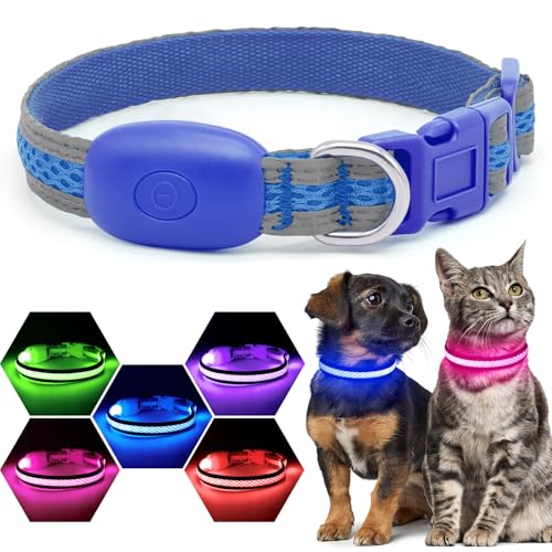 Flashseen LED Dog Collar, Light Up Dog Collar USB Rechargeable, Blue, XS - color: Blue, size: X-Small