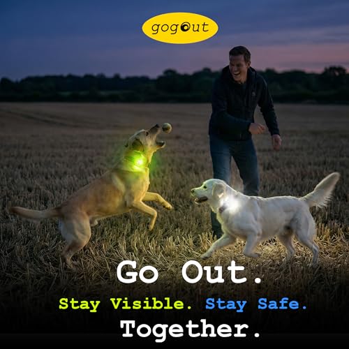 Dog Collar Light, Rechargeable LED Dog Safety Light for Night Walking, Clip-On or Strap-On Pet Light for Collar, Harness and Leash, High Visibility, Water-Resistant, USB-C, Blue - color: Blue