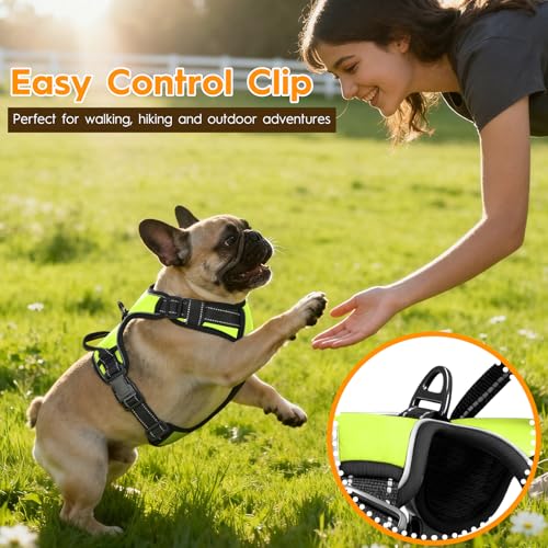 No Pull Dog Harness, No-Choke Soft Padded Reflective Dog Vest Harness with Front Clip & Top Handle, 2 Quick-Release Buckles, Adjustable for Small Medium Large Dogs - color: Velvet Green, size: X-Small