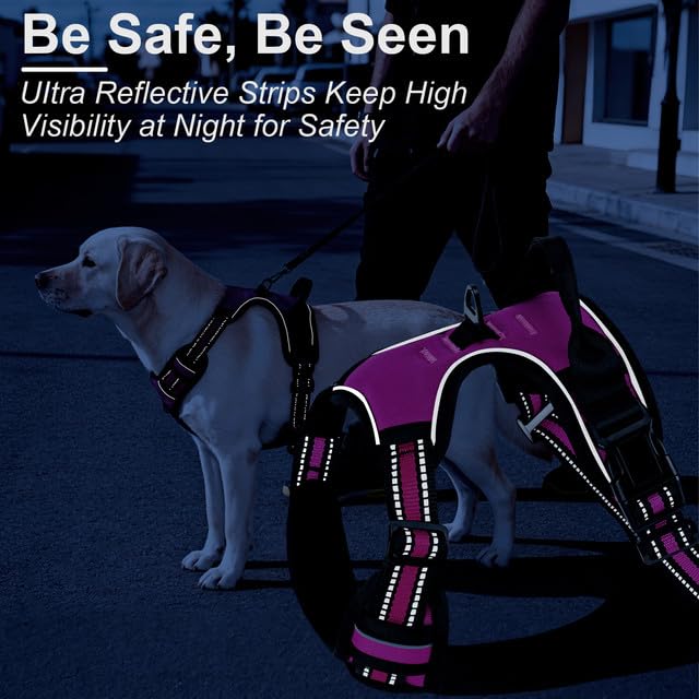 Dog Harness, No Pull Pet Vest for Large Dog, Easy On & Off, Blue, Small - color: Blue, size: Small