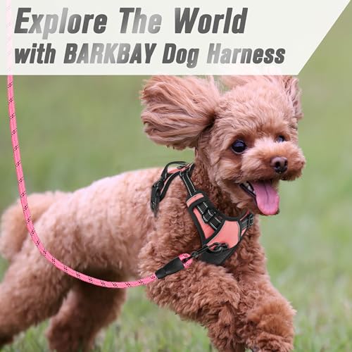 BARKBAY Dog Harness No Pull for Small Sized Dog Front Back Clips,Dog Vest - color: Light Pink, size: X-Small(Chest:15.5-19.5”)