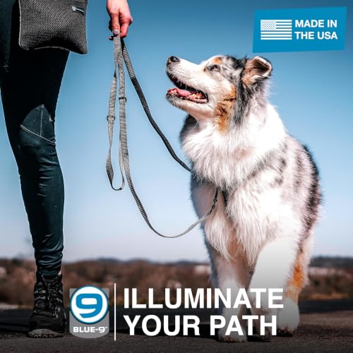 Blue-9 Reflective 6ft Multi-Function Dog Leash with Traffic Loop, Grey, S/M - color: Reflective Grey, size: Small/Medium