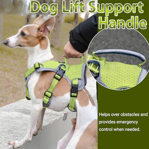 Escape Proof Dog Harness, No Escape No Pull Reflective Dog Harness with Durable Handle, Adjustable Heavy Duty Vest for Small Medium Large Dogs, Walking and Training (Green,XL) - color: Green, size: XL (Pack of 1)