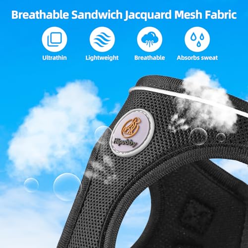 Hipubby Dog Harness and Leash Set, No Pull Soft Mesh Puppy Harness for Small Medium Dogs, Cats - Step in Adjustable Reflective Pet Harness with Buckle and Double D-Rings - Black, XS - color: Black, size: XS (Chest: 13.5"-15")