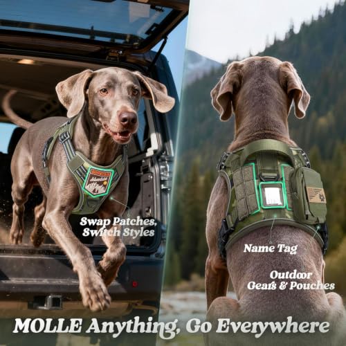 rabbitgoo Tactical Dog Harness for Small Dogs, No Pull Service Pet Vest - color: Green Camo, size: S(Chest:16.1"-31.5",Neck:15.4"-21.6",Back:7.1")