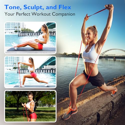 FitBeast Resistance Bands Set, Pull Up Assist Bands for Strength Training, Pilates, Yoga, Powerlifting, Stretching, Mobility Exercises, Muscle Toning, Full Body Workout - color: Vibrant（5-125 lbs)
