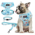 SCENEREAL Small Dog Harness and Leash Set, Coconut Tree, M - color: Blue-Coconut Tree, size: M: Chest Girth: 17"-21"