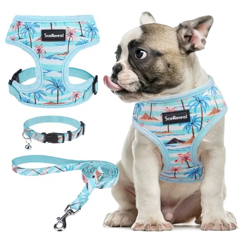 SCENEREAL Small Dog Harness and Leash Set, Coconut Tree, M - color: Blue-Coconut Tree, size: M: Chest Girth: 17"-21"