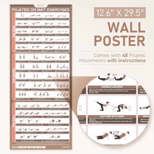 PhysKcal Pilates Kit, 15-Inch Pilates Ring with 1x Pilates Ball & 5X Bands - color: Nude