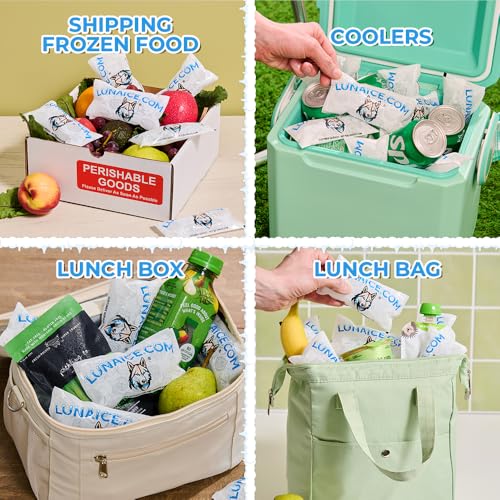 Dry Ice Packs for Shipping - Long Lasting ice Packs - 24+ Hour Freeze Power - BPA Free - 12 Pack Bulk 3 lb – Hielo Seco - Reusable Gel Bricks for Food - size: Medium