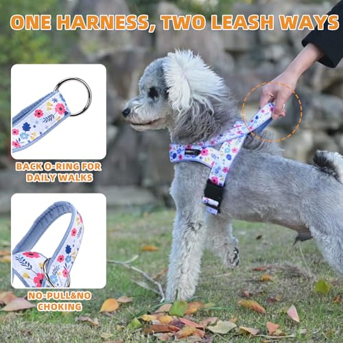 KOOLTAIL No Pull Harness Medium Size Dog with Handle, Easy Walk Puppy Vest Harness Neck & Chest Soft Paded Adjustable, Reflective & Lightweight Escape Proof Breathable Mesh Pet Running Harness, Blue M