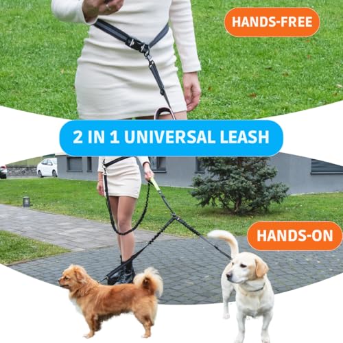 SparklyPets Hands Free Dual Dog Leash, Small (Green) - color: Green, size: 2 dogs S