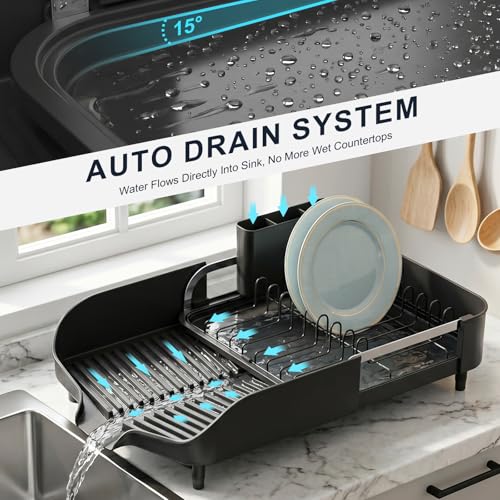 PULIDIKI Dish Drying Rack, Expandable Dish Rack for Kitchen Counter