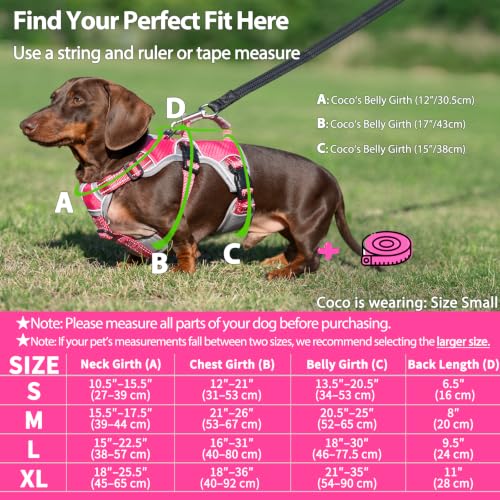Huntboo Escape Proof Dog Harness, Dachshund Harness, Reflective Dog Harness with Handle, Durable,Adjustable Vest for Small Medium Large Dogs Walking, Training, and Running Gear (Rose red,M) - color: Rose red, size: Medium(Pack of 1)