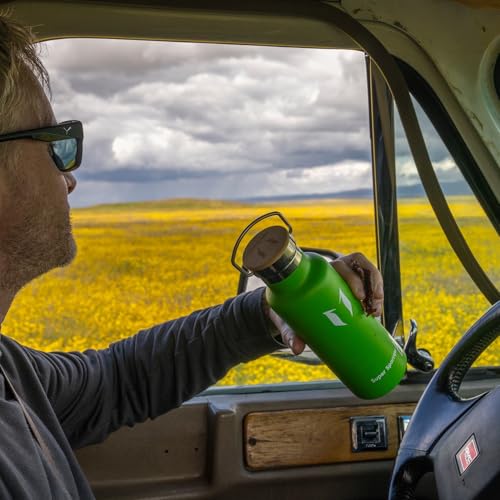 Sparrow Metal Water Bottle with Straw - Insulated Water Bottles Kids 500ml - color: Apple Green, size: 16.9 Ounces