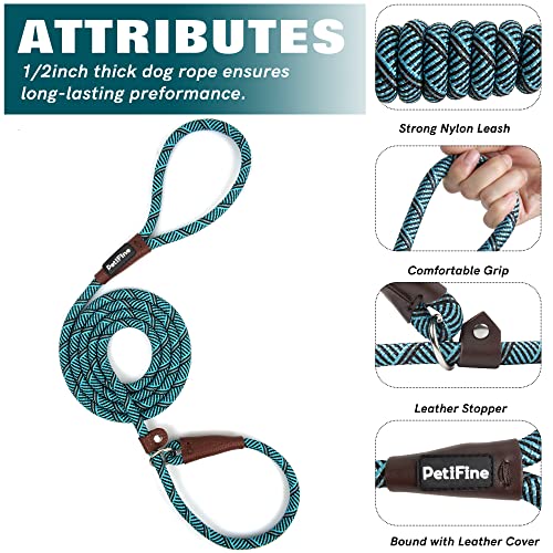 PetiFine Slip Lead Dog Leash Reflective, 6FT x 3/8" Heavy Duty Slip Leash - color: Blue, size: 3/8" x 6 FT