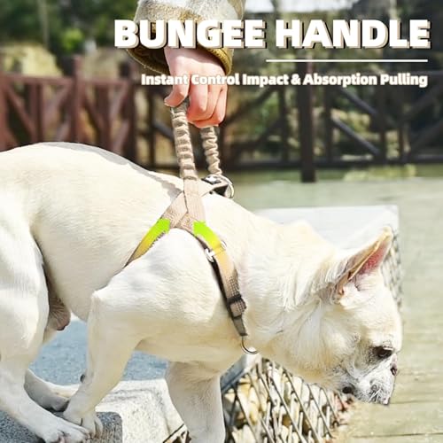 PUPTECK No Pull Dog Harness Medium Sized Dog, Adjustable Reflective Pet Vest Harness with Bungee Handle, Escape Proof No Choke Harness for Medium Dogs Walking Training, Beige M - color: Beige, size: M (NECK: 16.5"-19.5", CHEST: 21.5"-28")