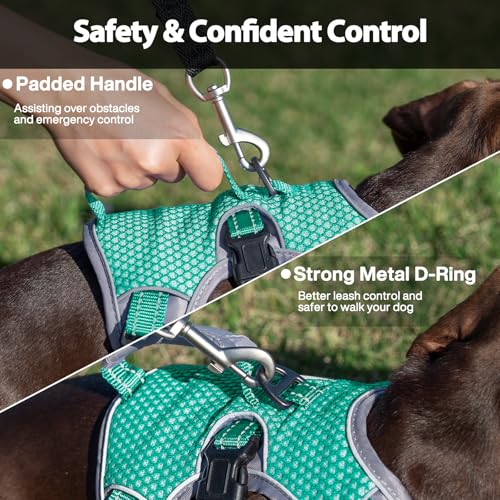 Huntboo Escape Proof Dog Harness, Dachshund Harness, Reflective Dog Harness with Handle, Durable,Adjustable Vest for Small Medium Large Dogs Walking, Training, and Running Gear (Mint Green,S) - color: Mint Green, size: Small(Pack of 1)