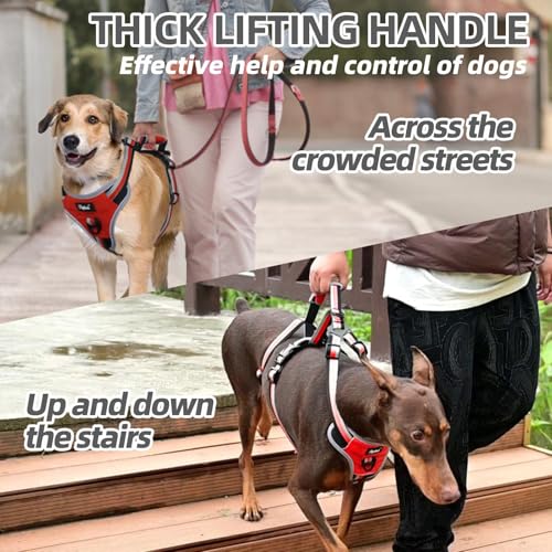 PUPTECK Escape Proof Dog Harness with Padded Handle, No Pull Pet Vest Harness Durable Reflective for Medium Large Dogs Walking Training and Running, Red, M - color: Red, size: Medium