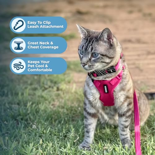 Voyager Escape-Proof Step-in Harness & Leash - Fuchsia, XXXS - color: Fuchsia, size: XXXS (Chest: 10.5 - 13")