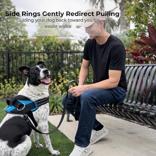ShawnCo Essential Dog Harness, No-Pull Pet Vest (Electric Blue,S) - color: Electric Blue, size: S
