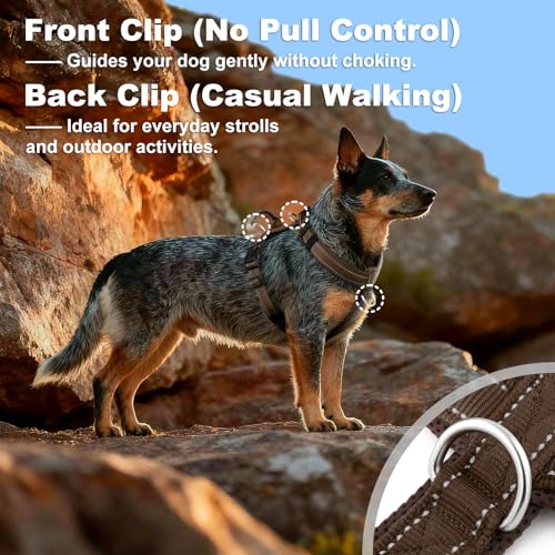 No Pull Dog Harness with Handle, Reflective Soft Mesh Padded Vest - color: Chocolate, size: M
