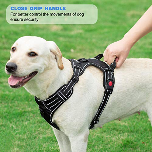 tobeDRI No Pull Dog Harness Adjustable Reflective Oxford Easy Control Medium Large Dog Harness with A Free Heavy Duty 5ft Dog Leash, Pink, S - color: Pink, size: Small