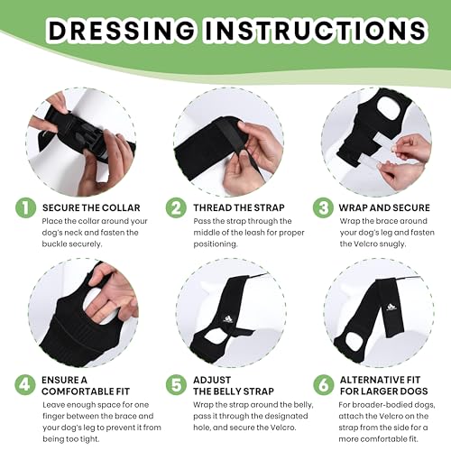 Universal Dog Knee Brace with Hot/Cold Therapy Pack, Adjustable, Breathable, Extra Comfortable Collar with Stabilising Back Brace (Small) - size: Small