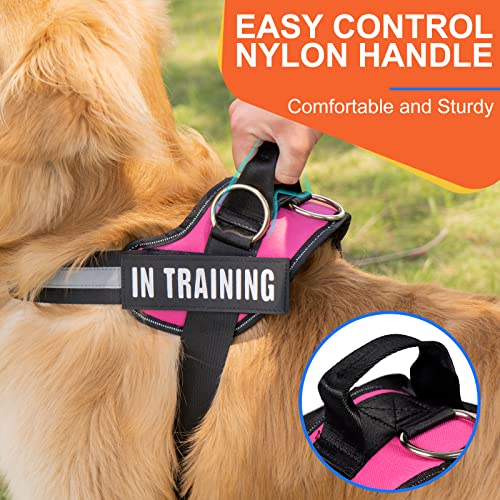 Essential Dog Harness, No Pull Pet Harness with 3 Side Rings for Leash Placement, No Choke, Reflective, Adjustable Pet Vest, Easy On-Off & Improved Control Handle, Training, Walking, Running - size: S(Neck:14-18",Chest:16-21")