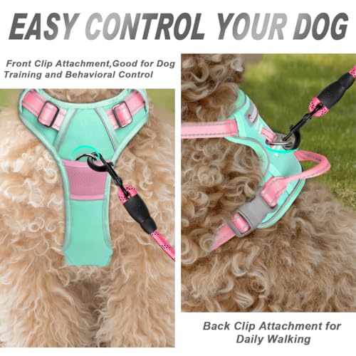 BARKBAY Dog Harness No Pull for Small Sized Dog Front Back Clips,Dog Vest - color: Cool Mint & Baby Pink, size: X-Small(Chest:15.5-19.5”)