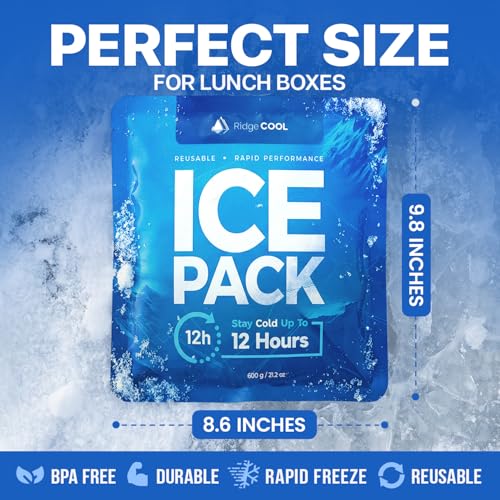 Ice Packs for Cooler, Reusable Ice Packs for Lunch Boxes, 4 Pack Long Lasting Freezer Packs, Leakproof Cooler Ice Packs for Lunch Bags and Coolers, BPA-Free, Food Safe - size: 4-Pack / 600g Each