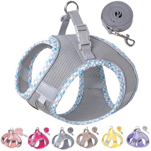 Petank Step in Dog Harness No Pull and Leash for Small Medium Dogs Cats. - color: Grey, size: XXXS
